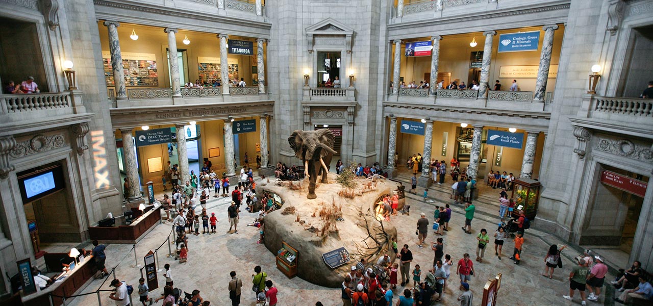 Smithsonian Museum Washington DC